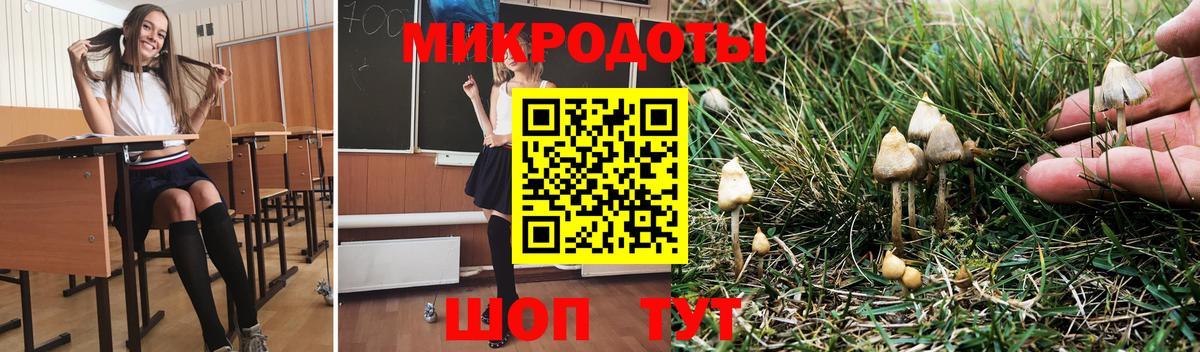 Галлюциногенные грибы GOLDEN TEACHER  Вход с VPN  Городец 