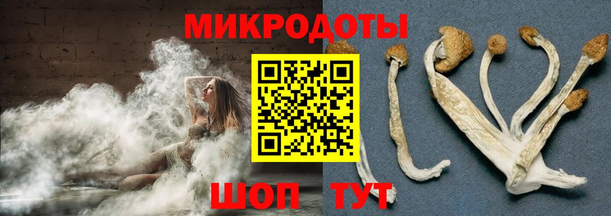 Галлюциногенные грибы Cubensis Городец
